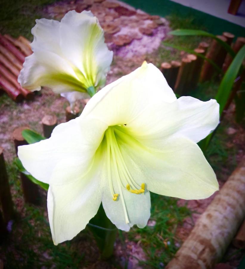Pousada Tauane Карайва Экстерьер фото